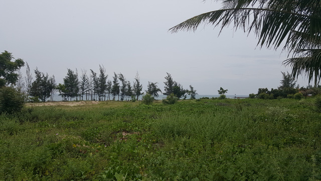  Bãi biển Cá Ná vẫn còn hoang sơ, nhiều năm qua một số dự án cắm mốc xí đất nhưng không đầu tư. 