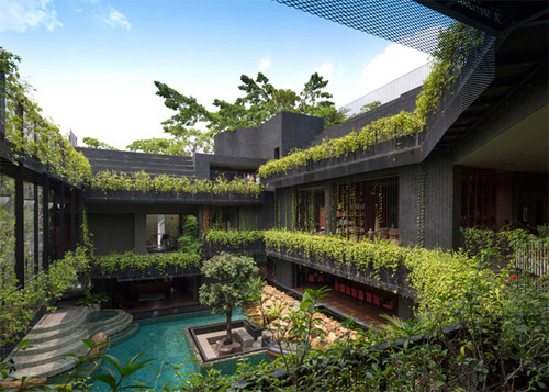 Ngôi nhà ở Singapore giống như vườn bách thảo khi được phủ kín cây xanh, có bể bơi, thác nước, hồ cá cảnh.