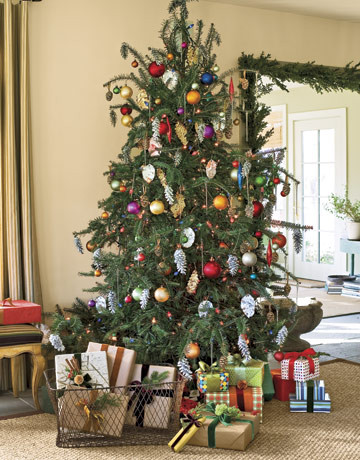 Lễ Giáng sinh đối với người Mỹ thì không thể thiếu được cây Noel trong nhà. Những cây thông 2-3 tuổi được các gia đình đem về đặt trong phòng khách và trang trí bằng những món đồ lấp lánh. Đêm ngày 24, các bậc cha mẹ sẽ đặt những món quà dưới chân cây thông để con cái họ buổi sáng hôm sau có được niềm vui mở chúng ra.