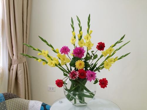 Cách cắm hoa thược dược với hoa lay ơn ngày Tết
