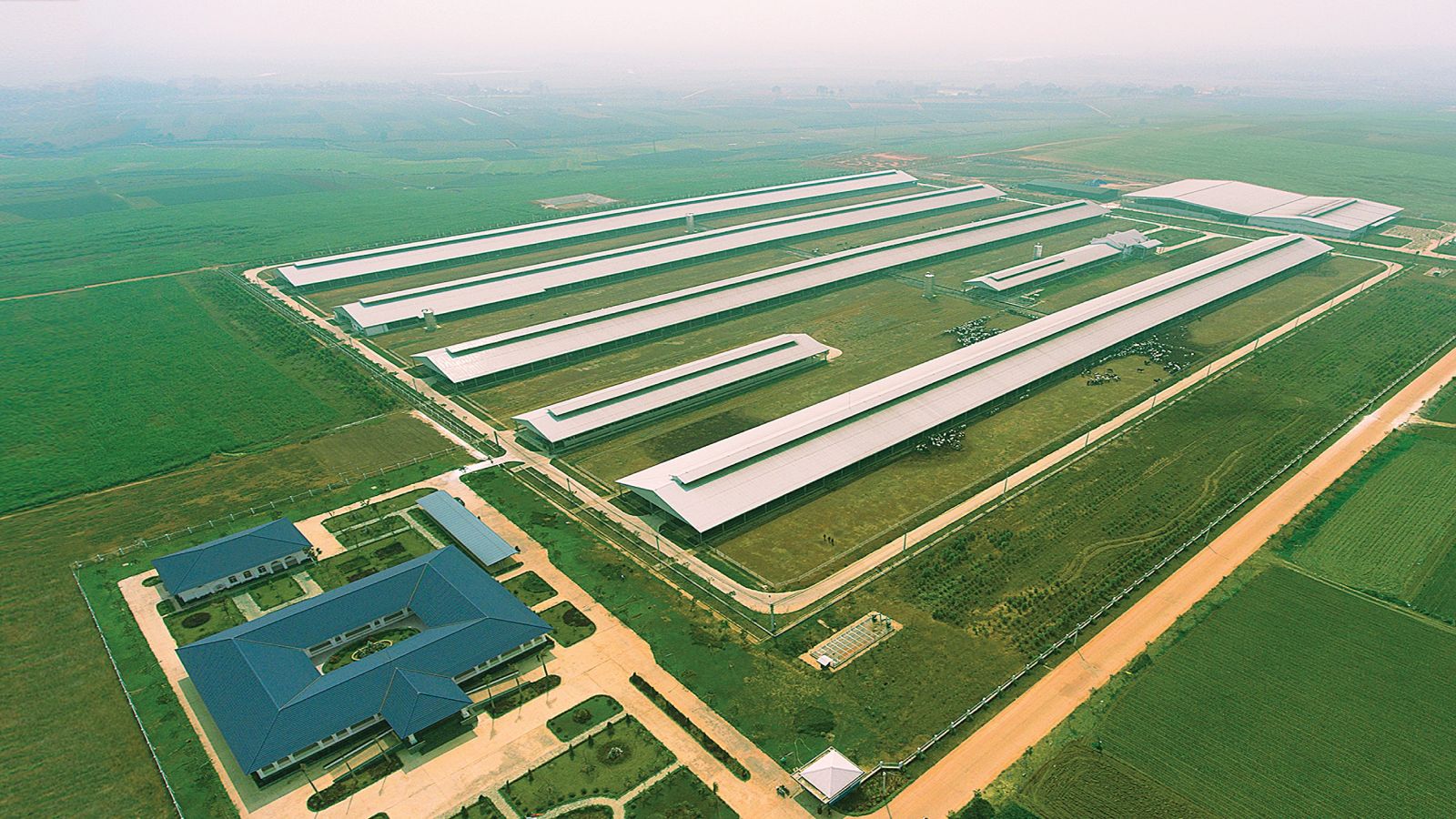 Tổ hợp trang trại bò sữa công nghệ cao Vinamilk tại Thanh Hóa