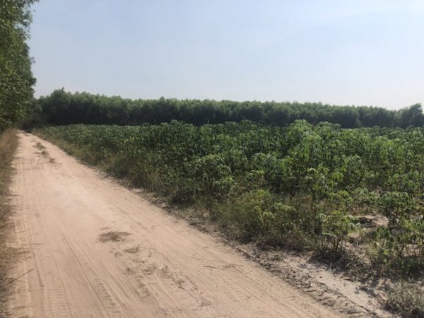 Một mảnh đất nông nghiệp được rao bán ở Nhơn Trạch 