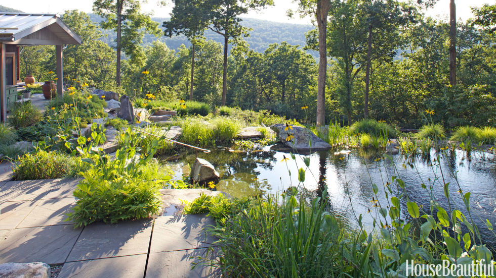 Bể bơi lấy cảm hứng từ thiên nhiên được kiến trúc sư Wendy Goidell tạo nên cho chính ngôi nhà của cô ở vùng ngoại ô Wassaic, New York. Cây cỏ hoa lá bao quanh bể bơi khiến người ta có cảm giác như ở giữa thiên nhiên.