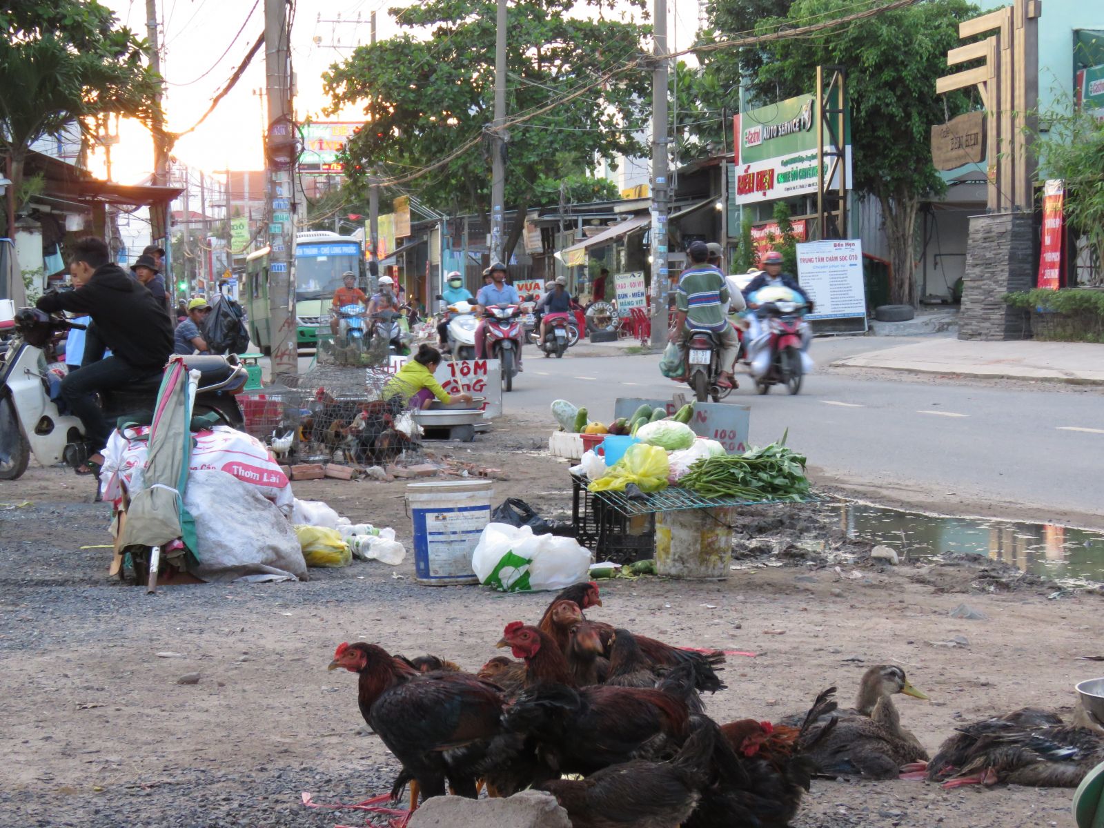 Đủ loại