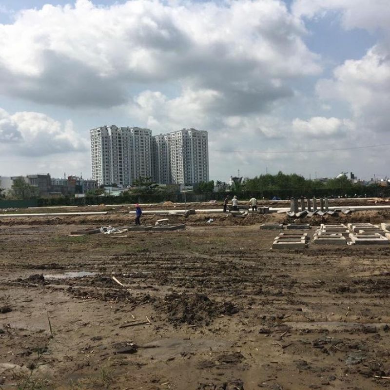 Dự án phân lô bán nền Green Riverside, Nhà Bè gần phà Bình Khánh đang rao bán với giá 25 triệu đồng/m2