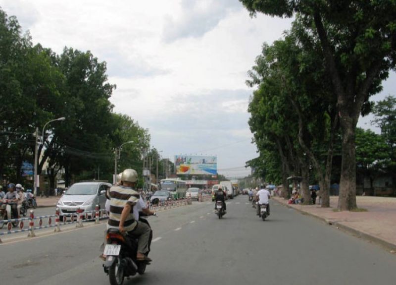 123 cây xanh sẽ bị đốn hạ, di dời để mở đường giảm kẹt xe khu vực sân bay Tân Sơn Nhất