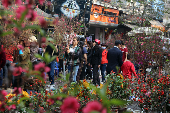 Hà Nội sẽ tổ chức 60 điểm chợ hoa Xuân trong dịp Tết Nguyên đán Đinh Dậu 2017.