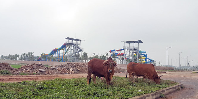 Dự án Ecopark Tuần Châu sau 10 năm vẫn chưa thể đưa vào hoạt động. Ảnh Thanh Niên