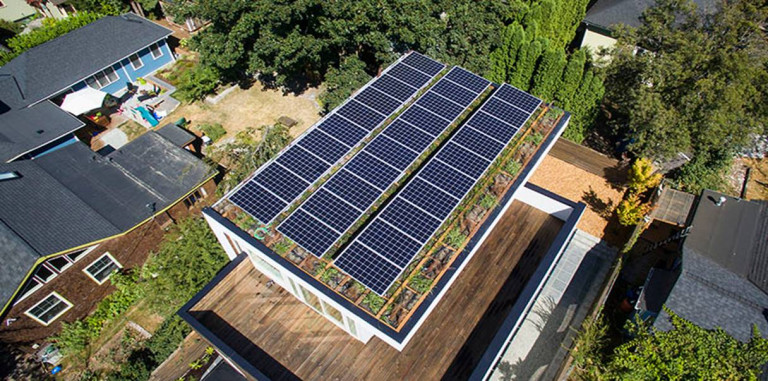 Những tấm năng lượng trên mái giúp cung cấp điện năng đủ dùng cho sinh hoạt. Việc sử dụng cây xanh giúp giảm thiểu lượng cacbon sản sinh ra và hạn chế lượng nhiệt của mặt trời tới ngôi nhà.