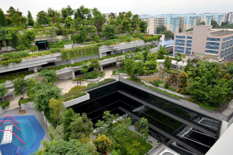 Cây xanh có mặt khắp nơi trong các khu chung cư của Singapore. Nhiều khu dân cư còn có các khu vườn trên tầng thượng, đặc biệt dành cho người già có thể sinh hoạt, chăm sóc cây cối.