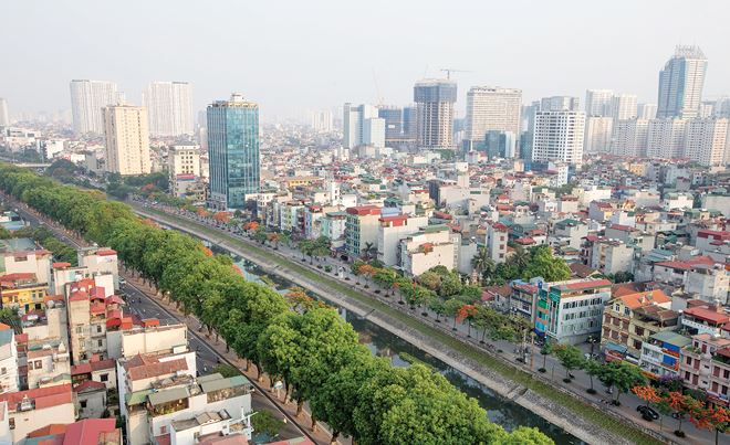 Hà Nội đang nỗ lực cải thiện mảng xanh đô thị với kế hoạch trồng 1 triệu cây xanh trên các tuyến phố. Ảnh: Dũng Minh