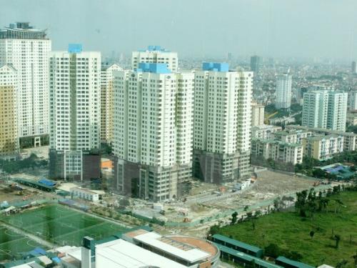 Cây xanh hiện nay đã trở thành thứ “xa xỉ” đối với người dân tại nhiều khu chung cư. Ảnh minh họa: Hoàng Lâm/TTXVN