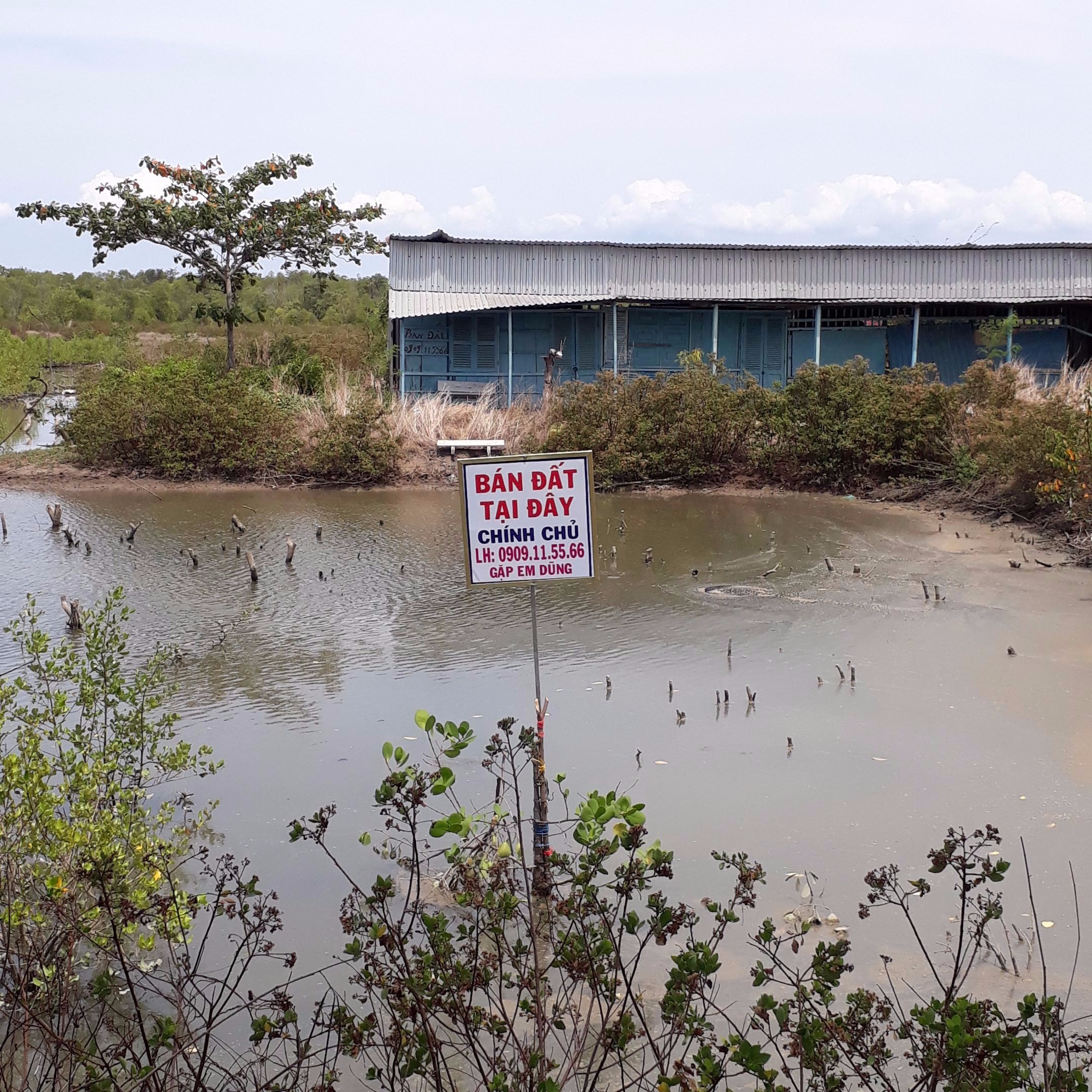 Huyện đảo Cần Giờ được cứu nhờ Quy hoạch phát triển vùng năm 2030.