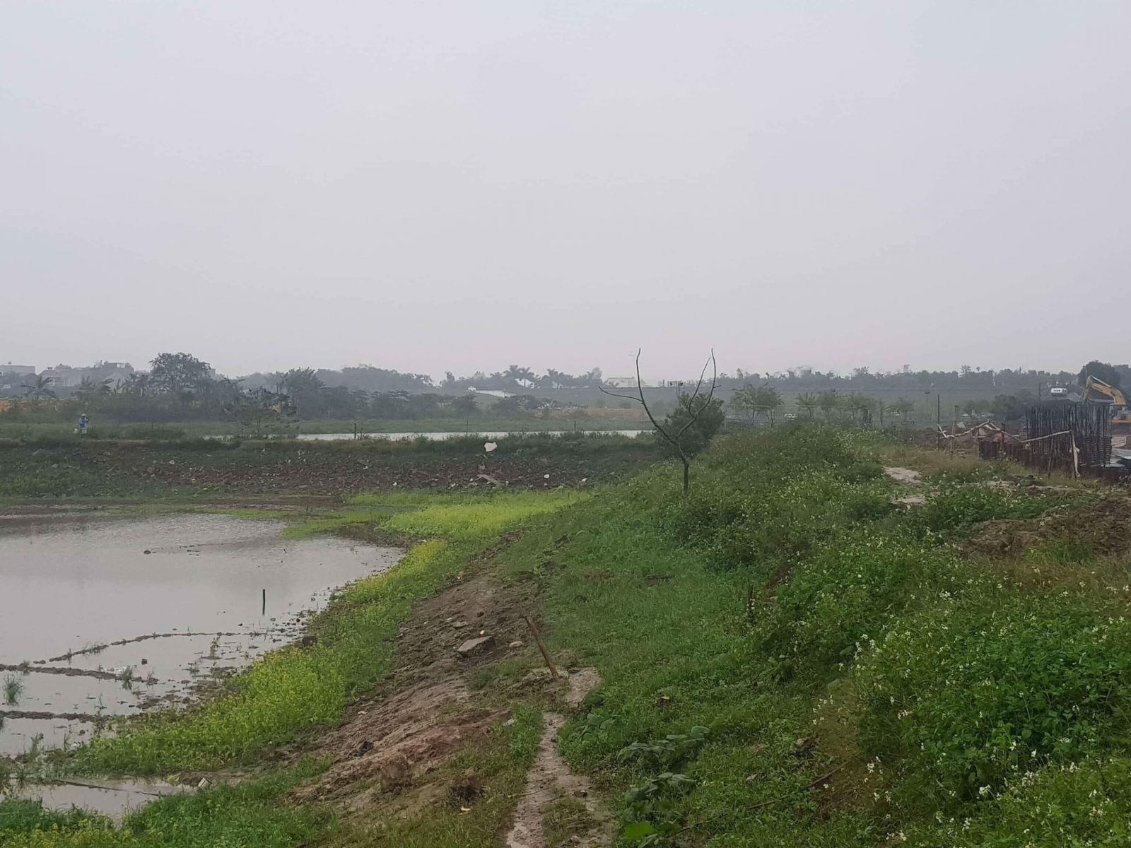3. Dự án BT cải tạo hồ ở quận Long Biên đổi lại 9,9 ha đất đối ứng ở Đại Mỗ vẫn đang “đắp chiếu” mặc dù Lã Vọng đã ào ạt bán đất thu về nhiều tỷ đồng.