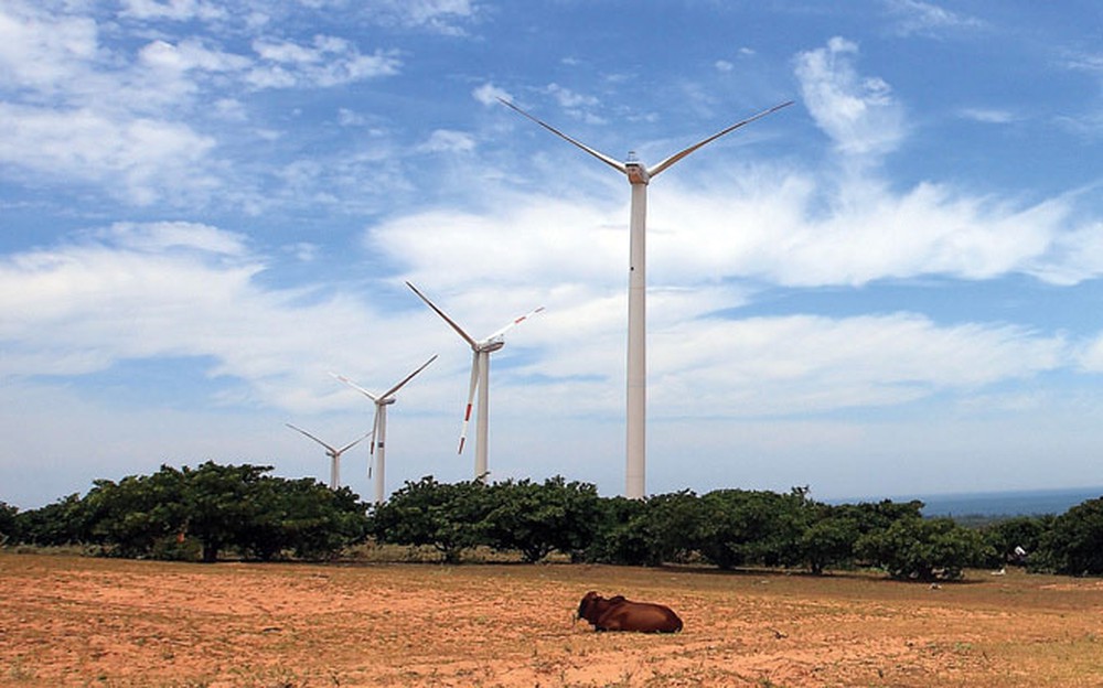 Cảnh tua-bin điện gió nối tiếp nhau ở Ninh Thuận