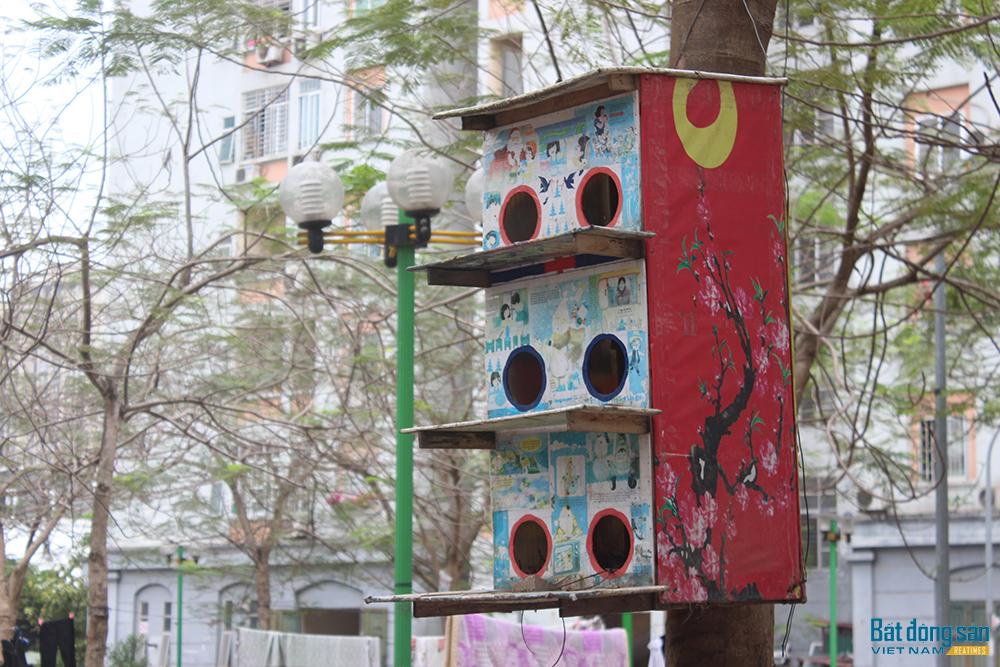 Khu chung cư ở Nam Trung Yên vẫn còn làm chuồng để nuôi chim bồ câu. 