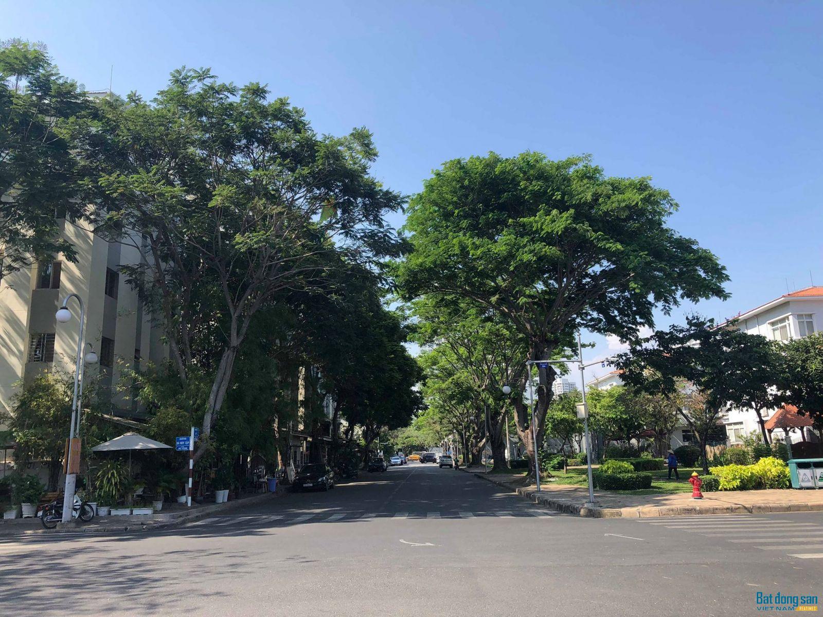 Trong khu đô thị Phú Mỹ Hưng được phủ xanh bằng nhiều cây lớn