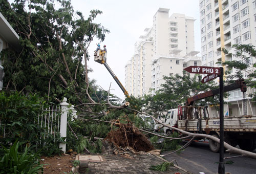Năm 2013, sau một trận mưa kèm giông lốc, hàng loạt cây tại Khu đô thị Phú Mỹ Hưng đã gãy đổ, bật gốc