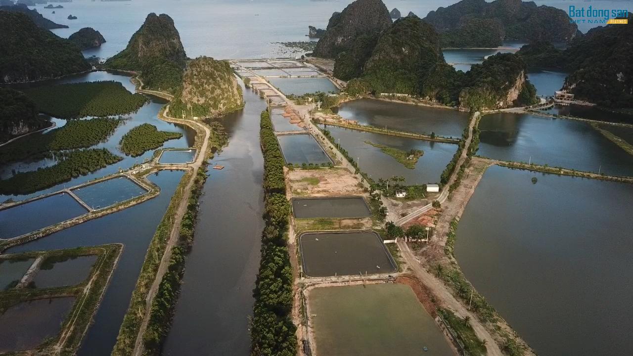 Khu vực nuôi trồng thủy sản của công ty Nhật Long được rào kín 