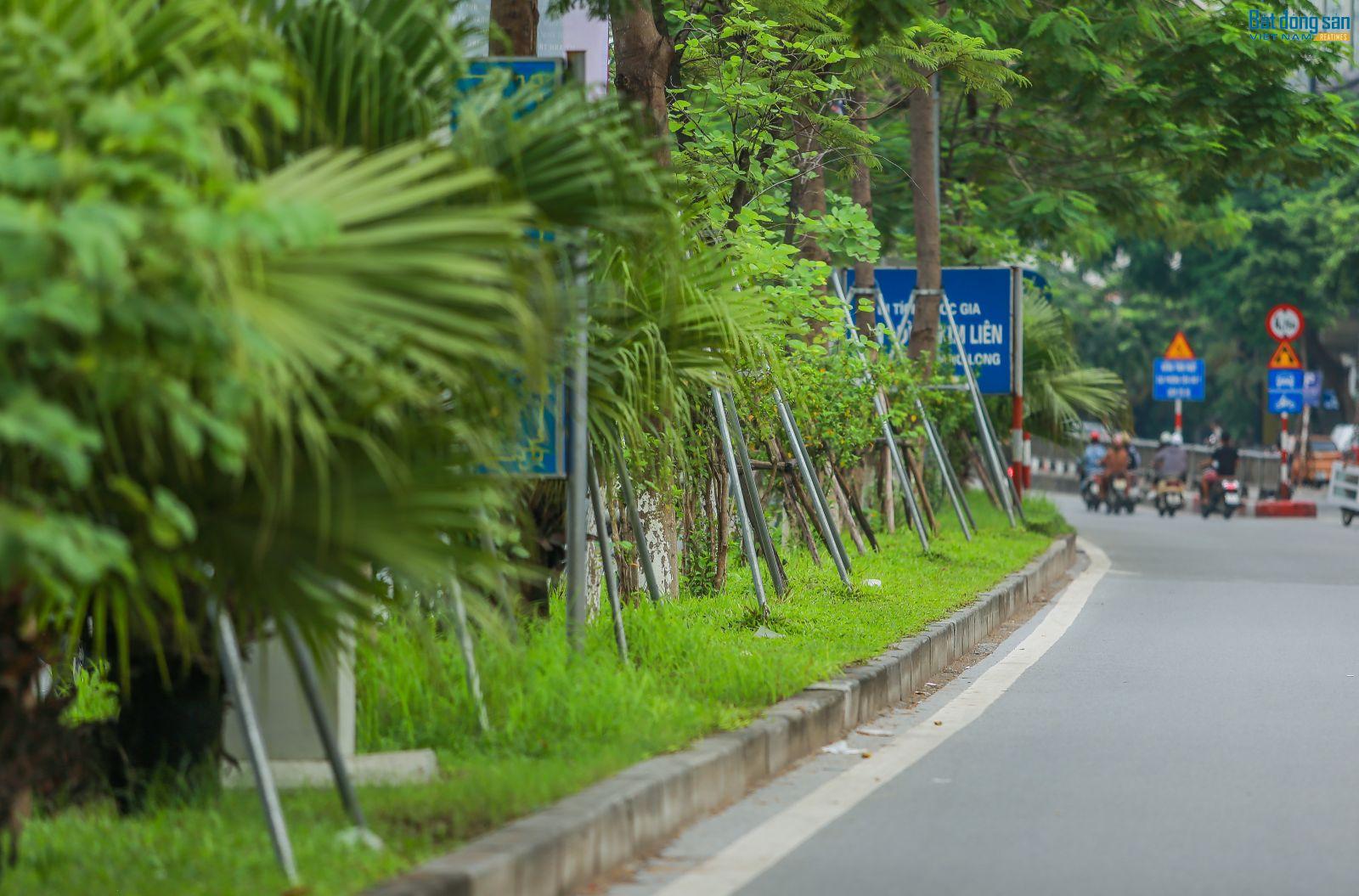 Mỗi ngày, khi lưu thông trên nhiều tuyến đường tại địa bàn Hà Nội, người dân sẽ không phải quá lo sợ nắng nóng hay mệt mỏi bởi vì đã có màu xanh của cây lá...