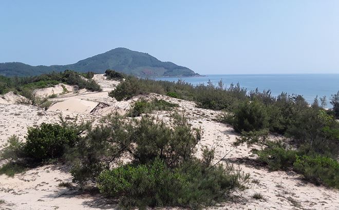 Đất ven biển thị trấn Lăng Cô, huyện Phú Lộc, Thừa Thiên Huế chỉ có gió và cát đang được giới đầu tư 