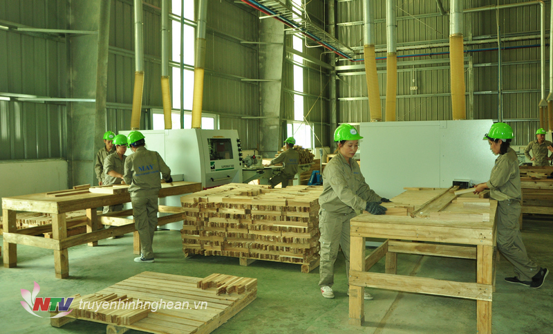 Nhà máy chế biến gỗ Nghệ An giai đoạn I với tổng mức đầu tư hơn 100 triệu USD.