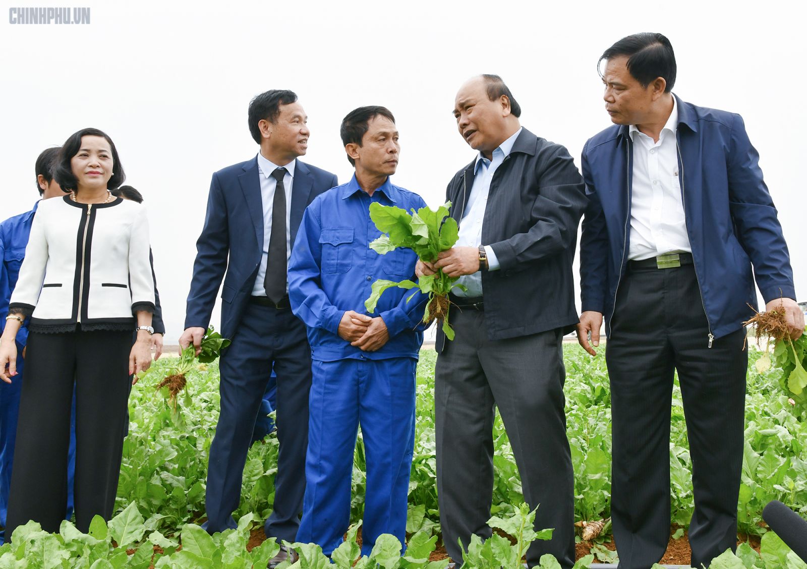 Thủ tướng thăm hỏi, động viên người lao động trên nông trường của Công ty Doveco - Ảnh: VGP/Quang Hiếu