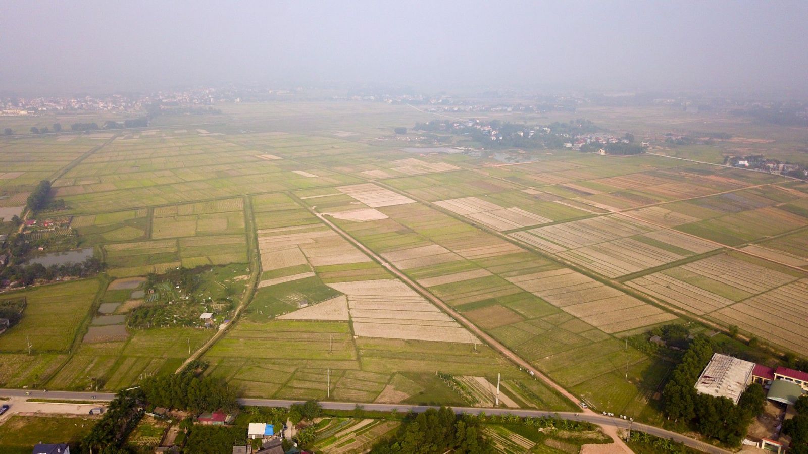 Mặt bằng khu vực dự kiến hình thành trường đua ngựa tại Hà Nội chủ yếu là đất nông nghiệp. Diện tích đất này hiện được người dân xã Tân Minh, huyện Sóc Sơn trồng cây hoa màu.