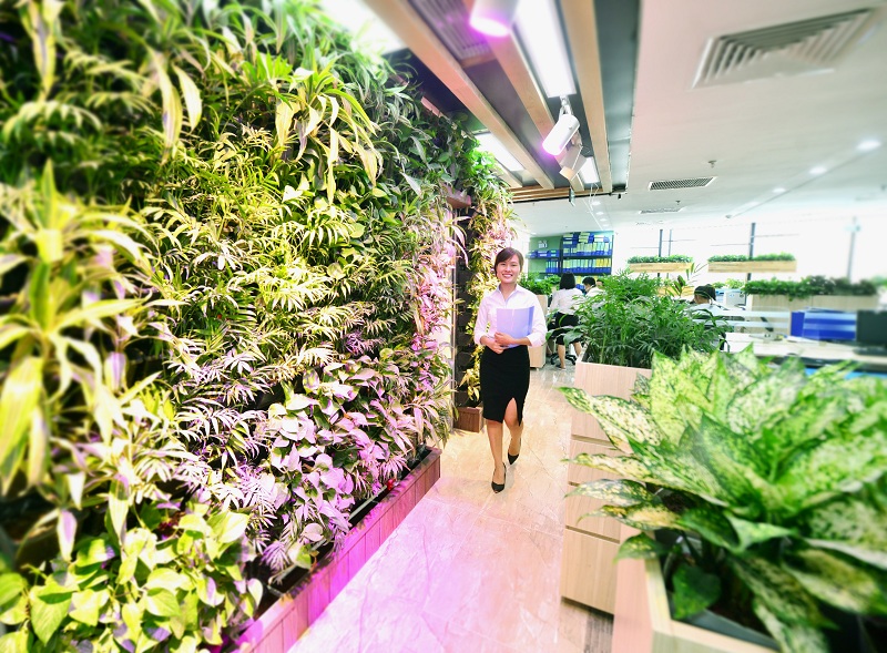 Văn phòng Xanh EcoLife Capitol được cấp chứng chỉ xanh Lotus, không chỉ những mang lại không gian làm việc xanh mát cho nhân viên, mà giúp chủ doanh nghiệp tiết kiệm năng lượng và bảo vệ môi trường. 