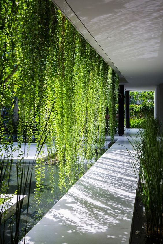Rèm cửa xanh mướt đưa thiên nhiên đến gần với không gian sống trong ngôi nhà.