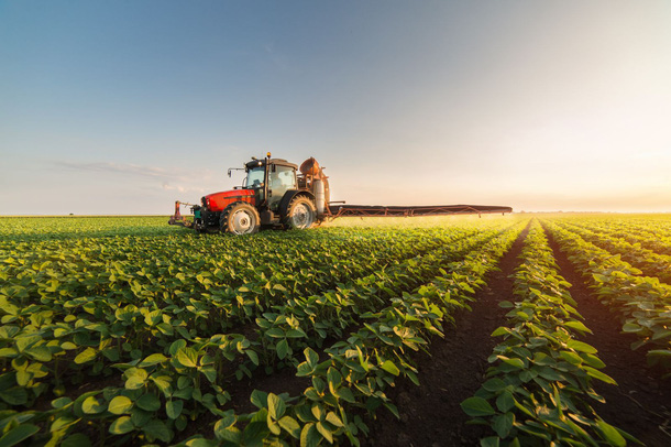 Nhiều doanh nghiệp đang bước chân vào lĩnh vực nông nghiệp công nghệ cao.