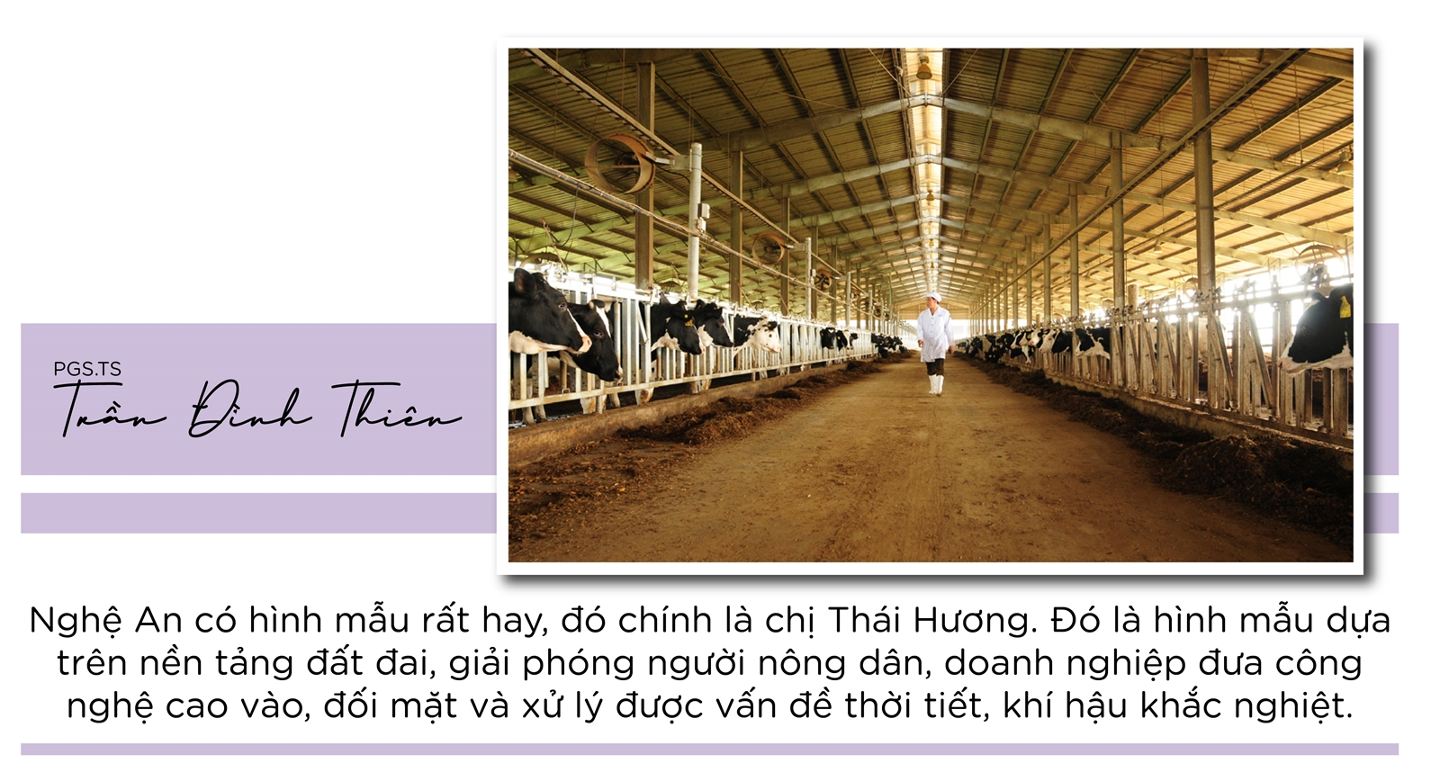 Thái Hương - tia lửa bùng cháy- Ảnh 12.