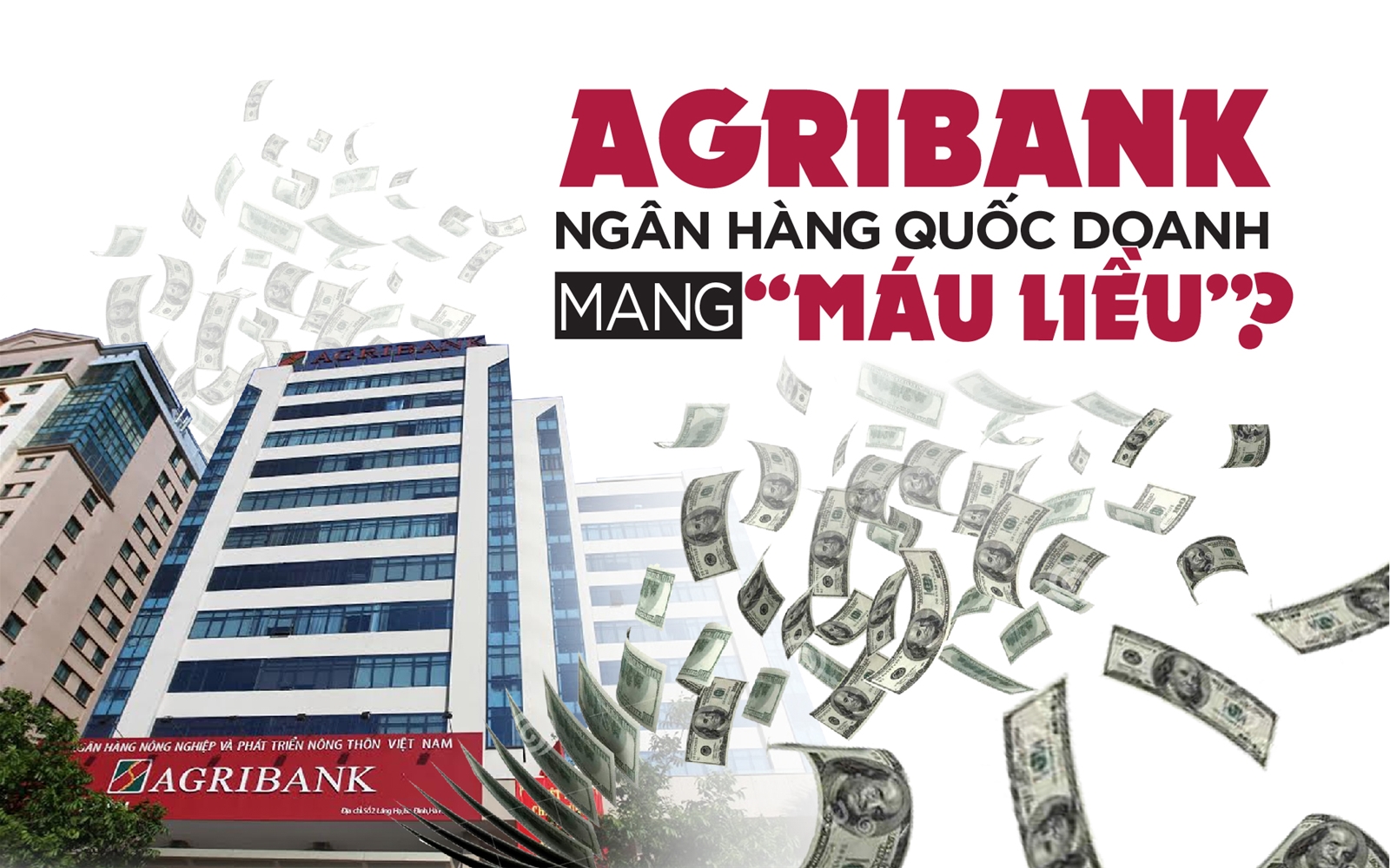Agribank "câu giờ" cổ phần hoá vì đất và nợ xấu?