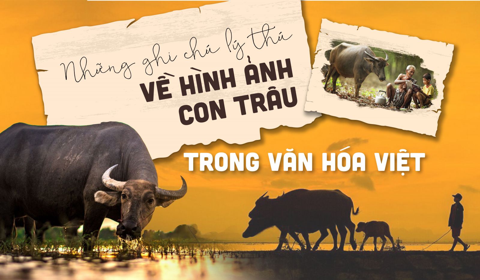 Những ghi chú lý thú về hình ảnh con trâu trong văn hoá Việt