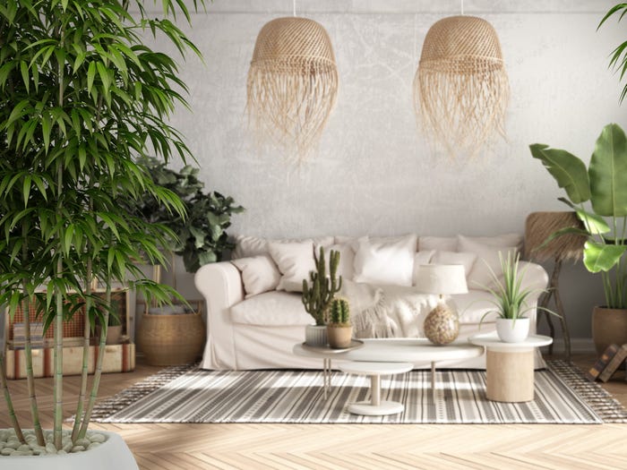 Bạn có thể mang bầu không khí vùng nhiệt đới vào phòng khách của mình