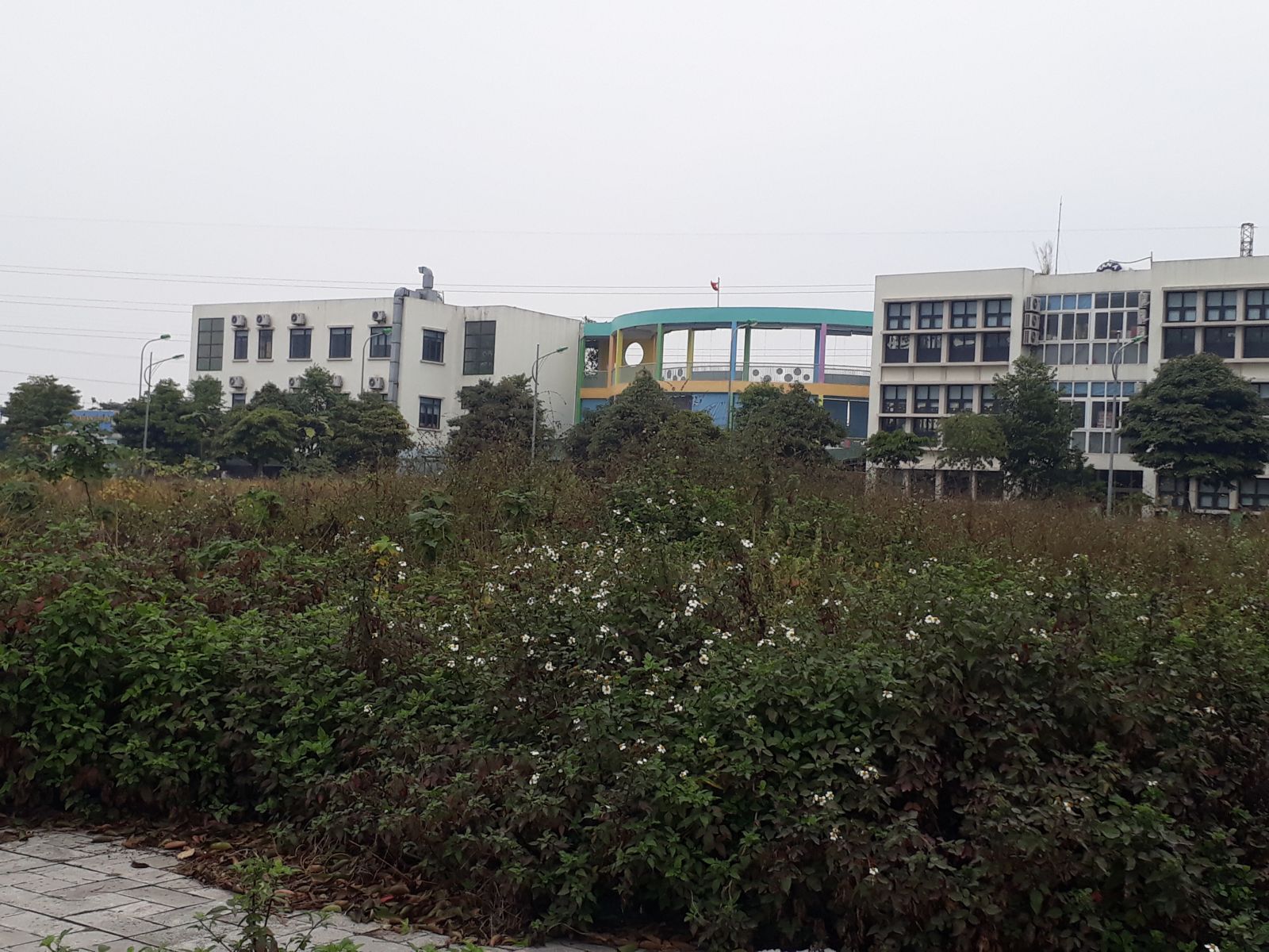 Nhiều khu đất tại Dương Nội bỏ hoang nhiều năm.