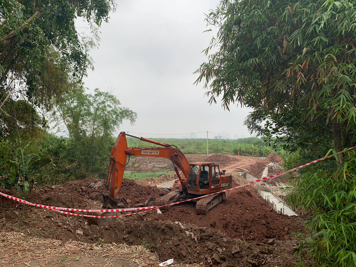Đất trong khu vực ven sông xã Xuân Canh đã được cò thổi lên gấp đôi chỉ trong một tuần.