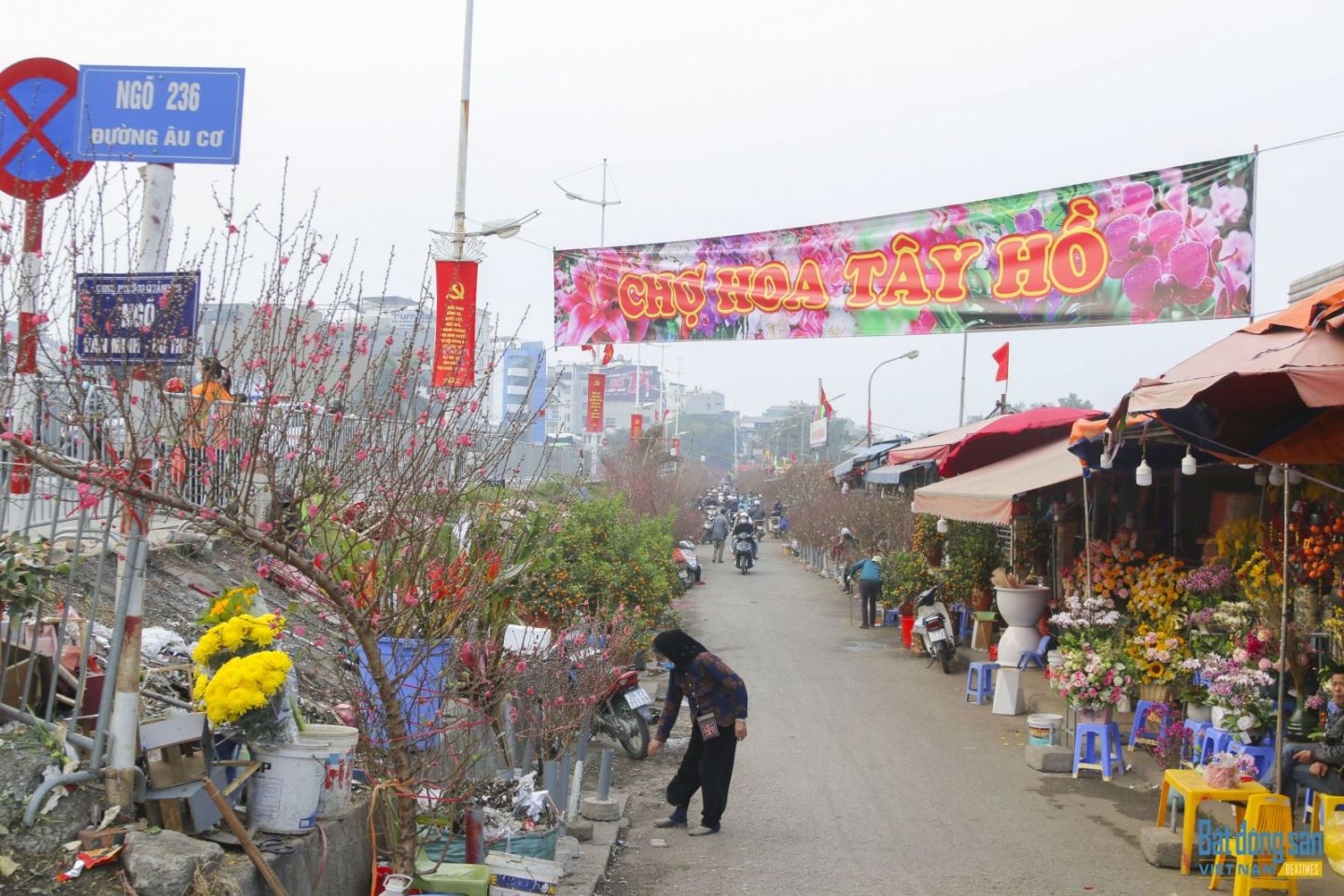 chợ hoa quảng an