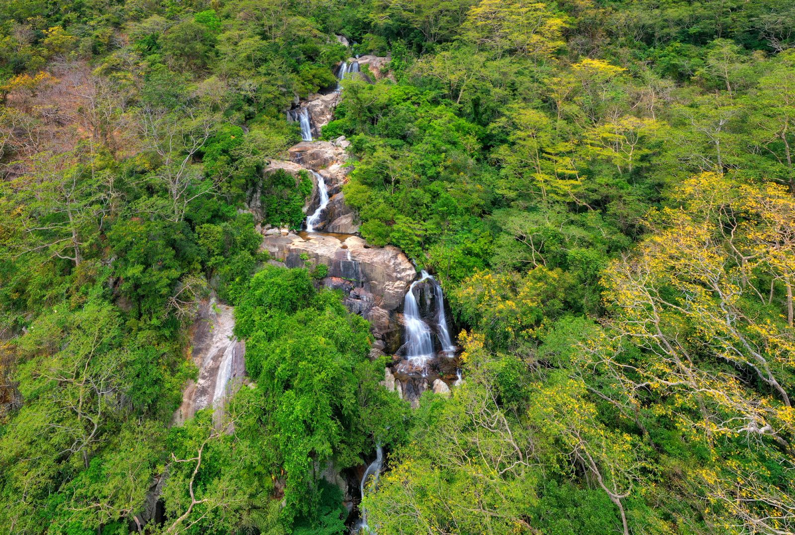 Phát triển du lịch sinh thái là mấu chốt để bảo vệ rừng, giữ rừng cho tương lai- Ảnh 2.