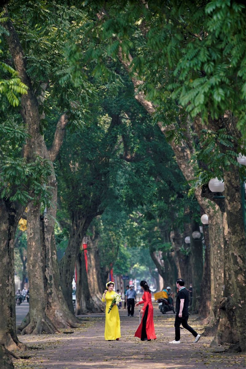 phố Phan Đình Phùng