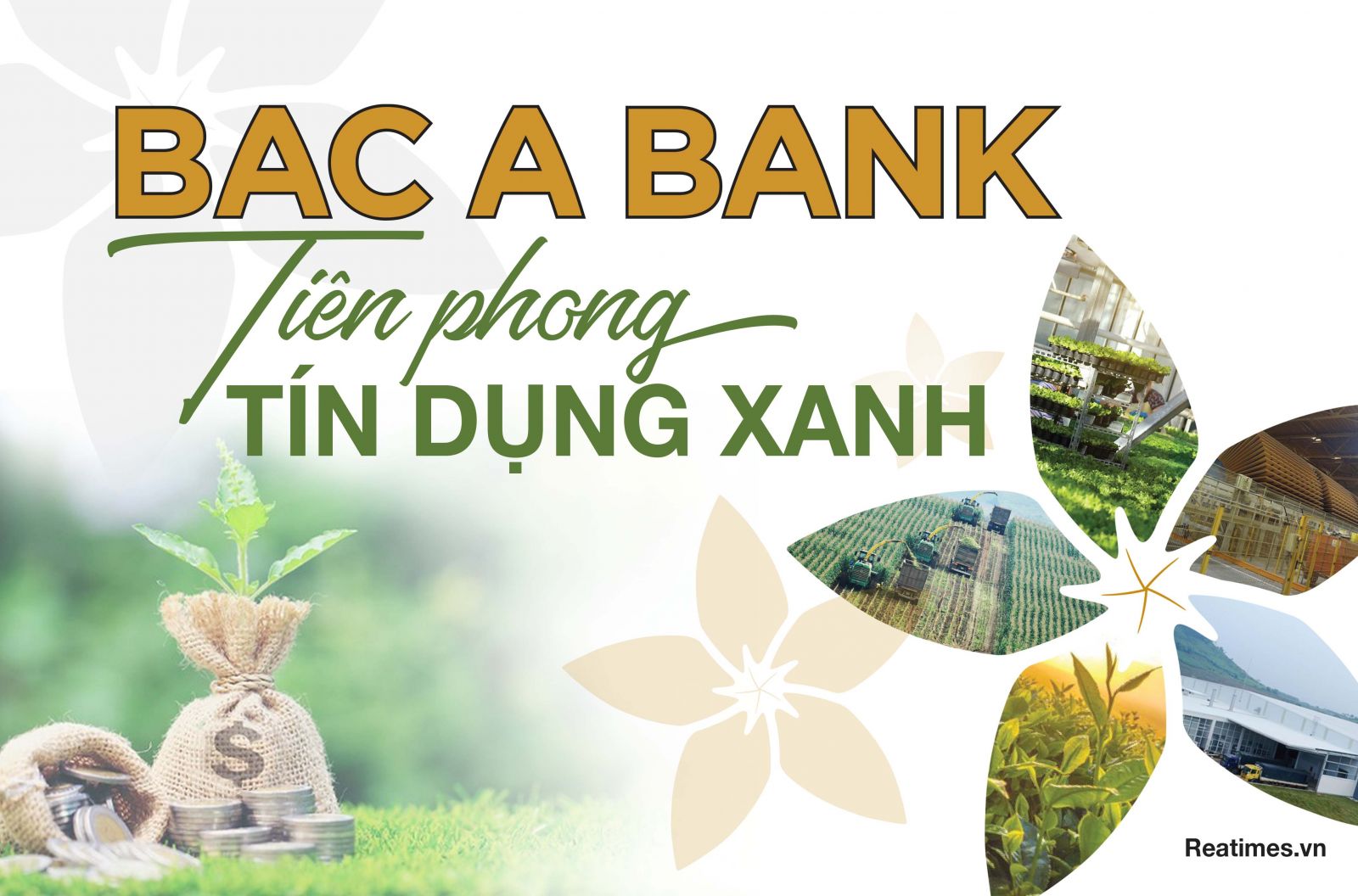 BAC A BANK: Tiên phong tín dụng xanh