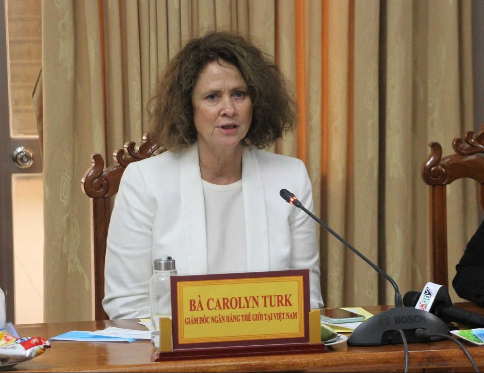 Carolyn Turk, Giám đốc Ngân hàng Thế giới tại Việt Nam