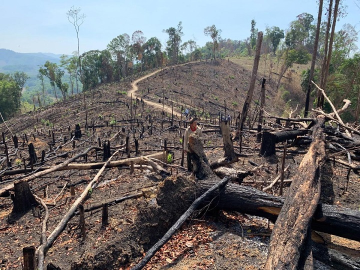 Một diện tích rừng bị phá ở khu vực giáp ranh ở xã Cư Bông