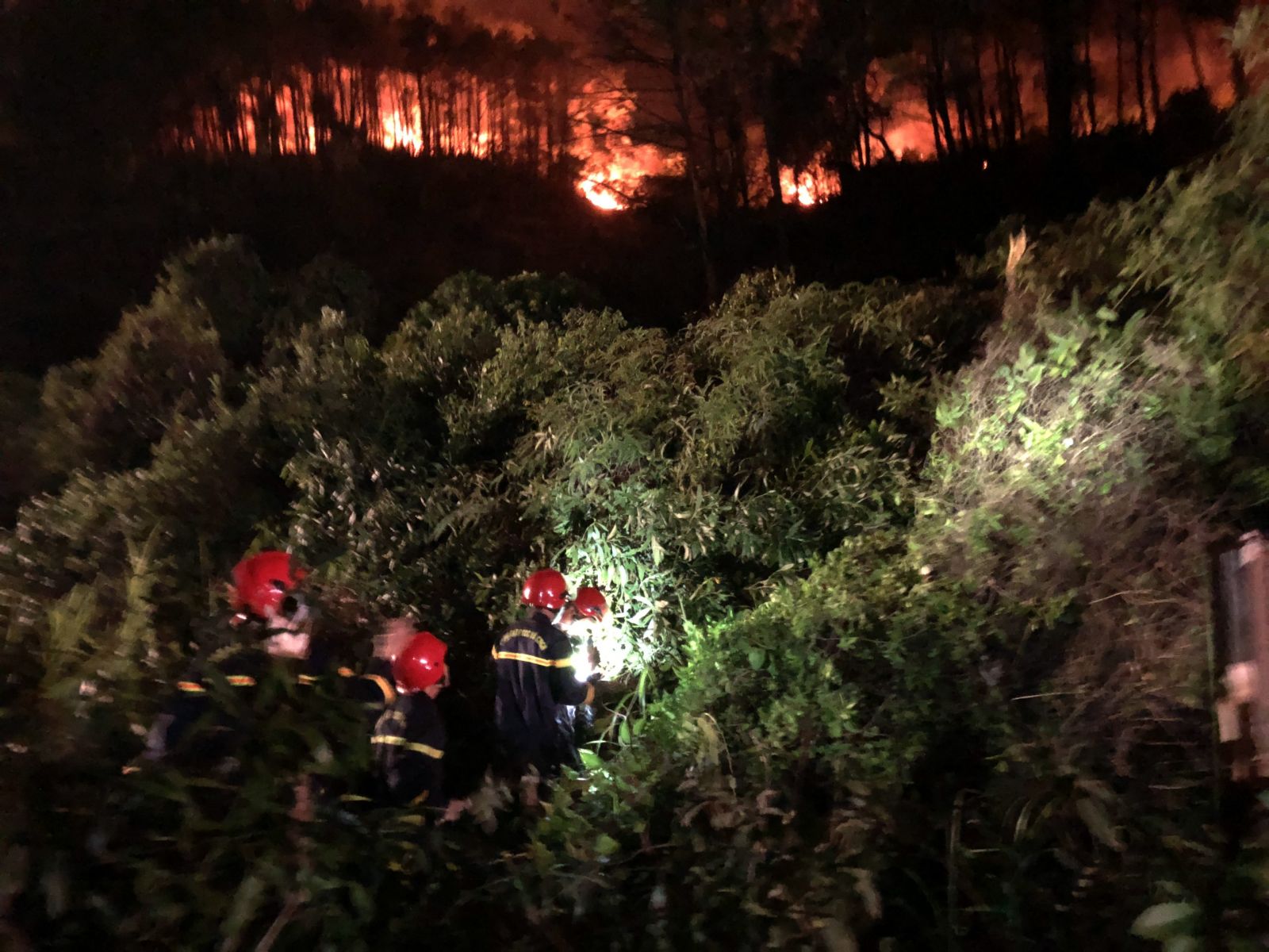 Xuyên đêm chữa cháy rừng ở Thừa Thiên - Huế