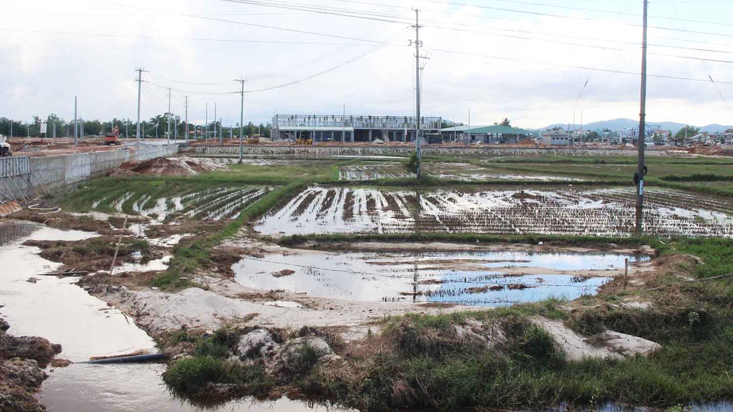 Khu phố chợ Chiên Đàn được giao đất chủ yếu trên ruộng lúa, thường xuyên xảy ra ngập úng đất nông nghiệp của người dân khi mưa kéo dài.
