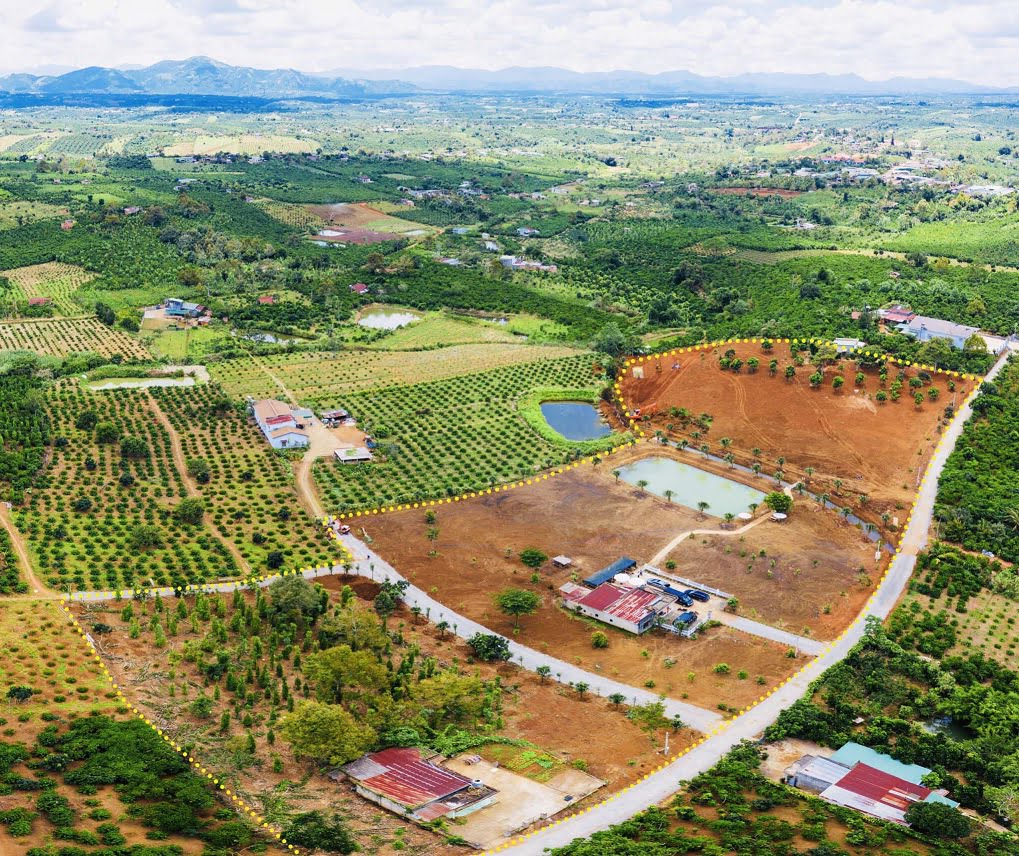 Tình trạng mở đường trên đất nông nghiệp trái quy hoạch xảy ra phổ biến trên địa bàn tỉnh Lâm Đồng