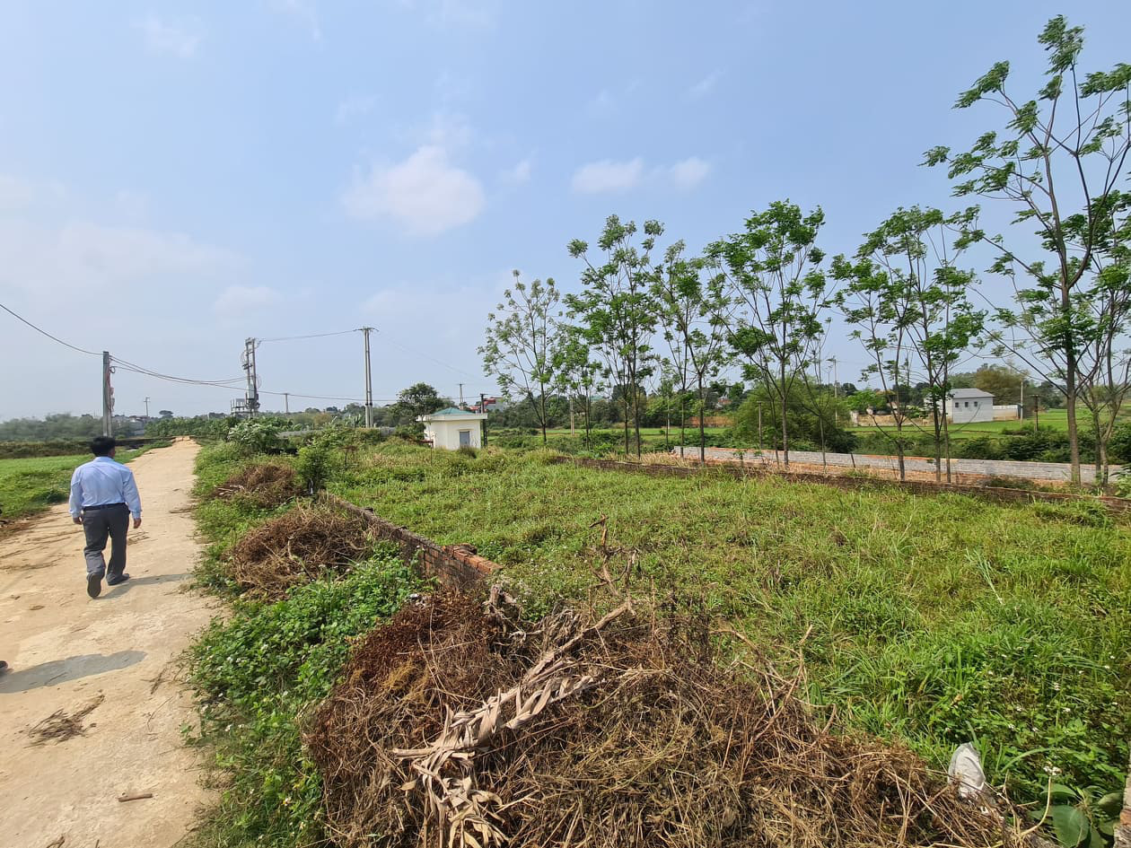 Nhiều lô đất đấu giá tại Đồng Trúc Thạch Thất, Hà Nội rơi vào tình trạng bỏ không sau thời gian sốt đất