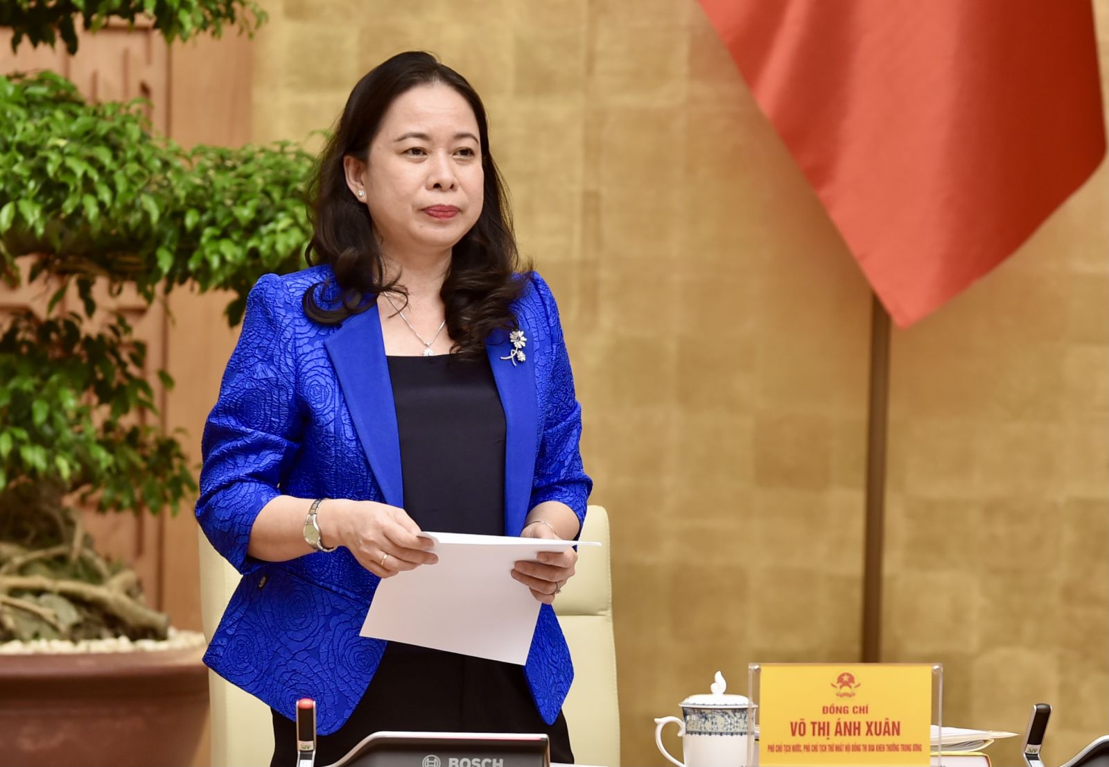 Phó Chủ tịch nước Võ Thị Ánh Xuân phát biểu tại cuộc họp