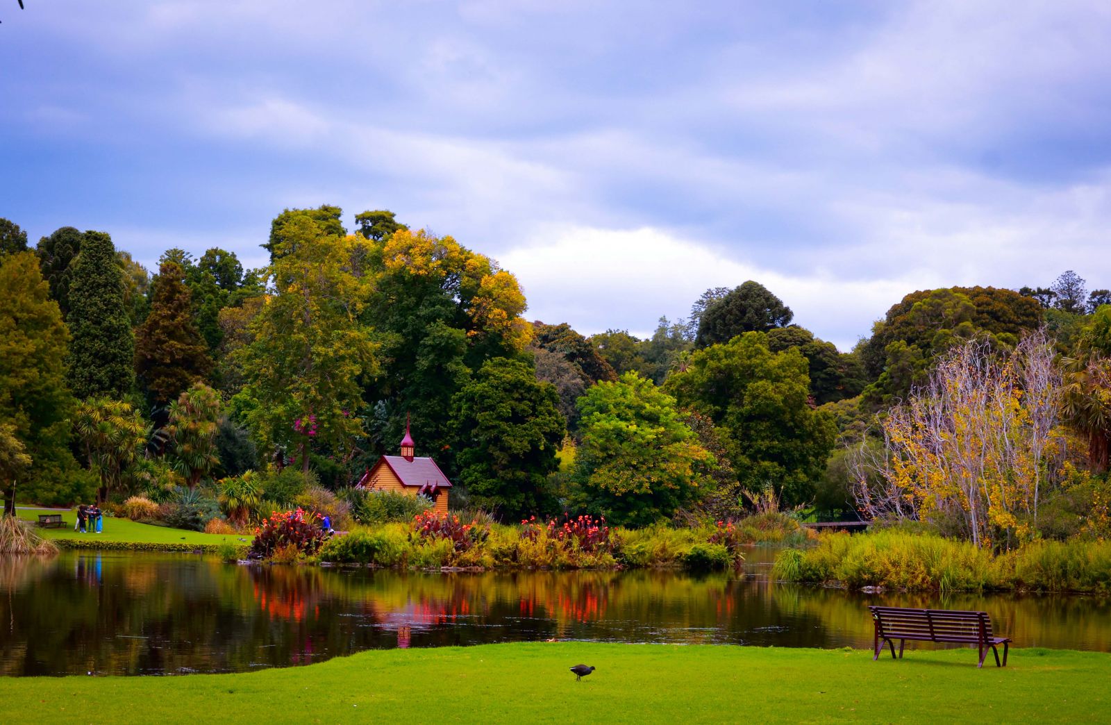 Đến Royal Botanic Garden, du khách ngỡ như được lạc bước vào thế giới cổ tích huyền ảo với hồ nước có tên Guilfoyle Volcano, nơi được bao quanh vẻ đẹp của cây cối, chim, thú và mặt nước phẳng lặng.
