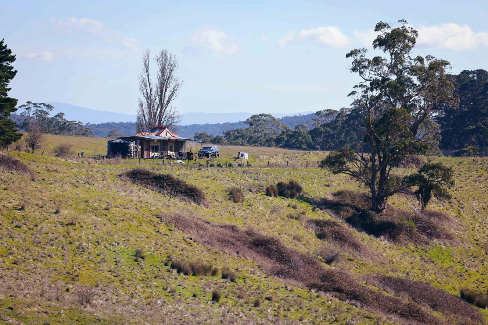 Vùng thảo nguyên rộng bao la, bát ngát như bối cảnh quay của “Ngôi nhà nhỏ trên thảo nguyên” có lẽ cũng là một điểm ấn tượng của miền quê xứ Úc. 